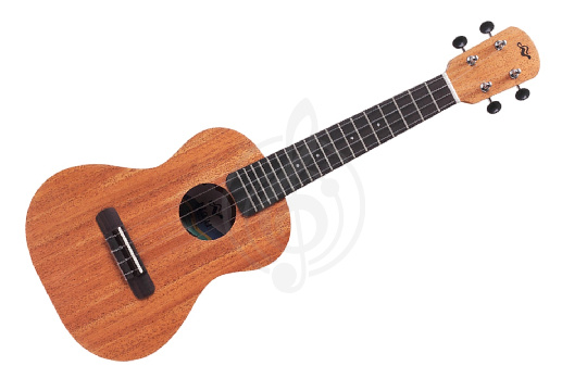 Укулеле сопрано Tom TUS-520 Pro - Укулеле сопрано - фото 1